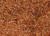 Flax seed for sale
