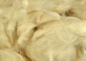 Kapok - a natural plant fibre