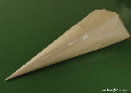 taping the cone distaff | Wild Fibres natural fibres
