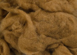 Vicuna noil - natural fibres