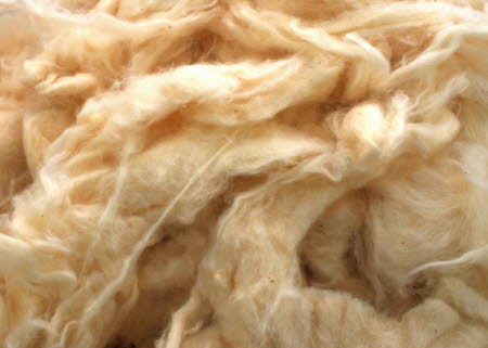 Fine loose cotton fibre