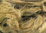 Line flax fibre