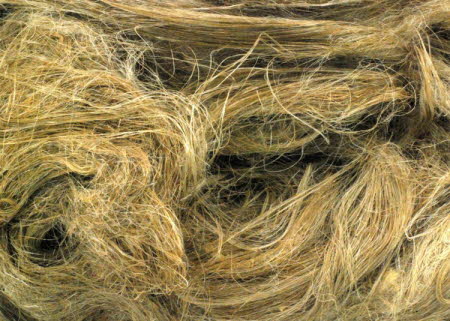 Line flax fibre
